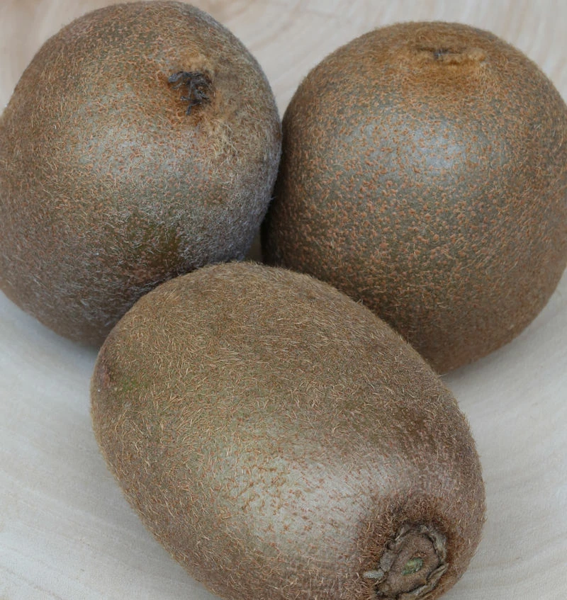 Weibliche Kiwi Hayward 40-60cm - Actinidia Chinensis 3 Weibliche Kiwi Hayward 40-60cm - Actinidia Chinensis