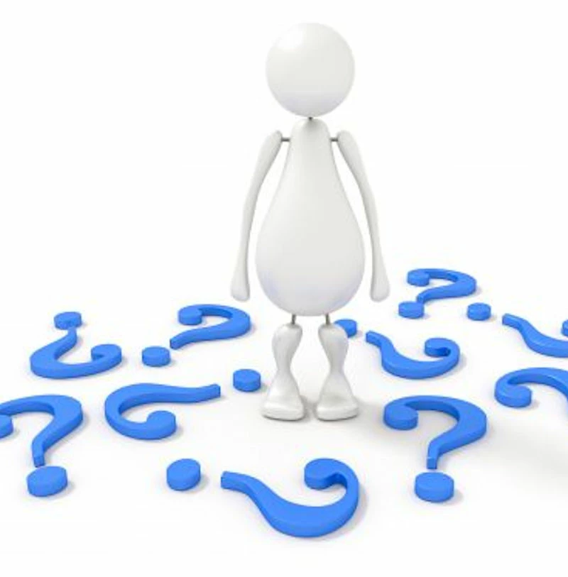 Weinrebe Datteltraube 80-100cm - Vitis 3 Weinrebe Datteltraube 80-100cm - Vitis