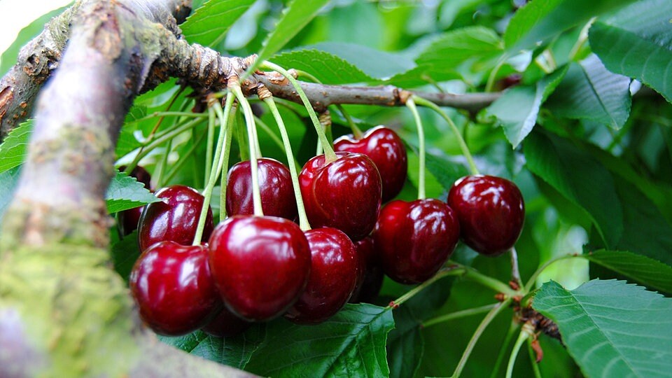 Titelseite 38 Titelseite -NR-01 Verkäufe 222 1